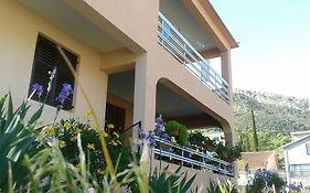 Apartment Davidovic